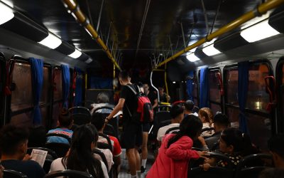 “Búho”: Lanzan licitación para servicio de buses nocturnos