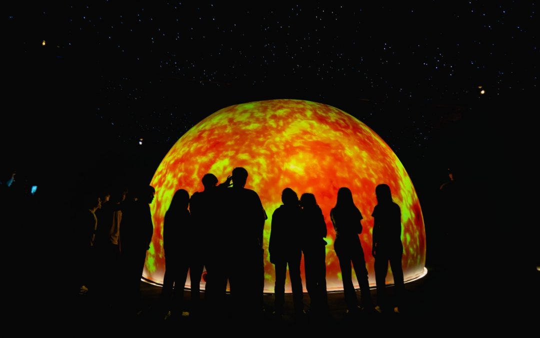 MuCi despide diciembre con la exhibición interactiva “El vuelo de las aves”