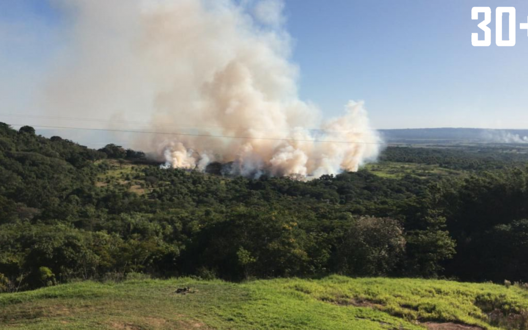 Desde el Cuerpo Bomberos aseguran que reciben un reporte de 40 incendios forestales por día