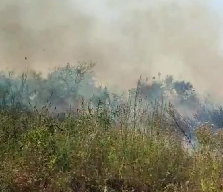 Se reavivó el fuego en la zona del banco San Miguel