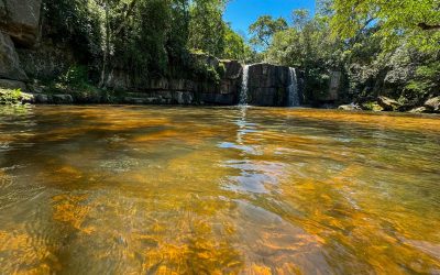 Mades lanzó la campaña «Mi verano, mi compromiso»