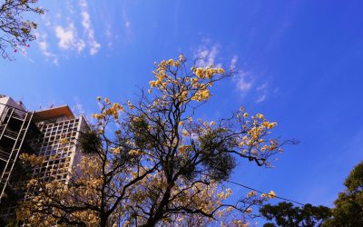 Meteorología anuncia viernes caluroso y posibles chaparrones