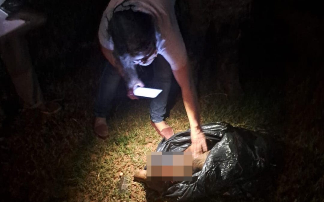 San Pedro: director de una escuela habría matado con un hacha a un perro