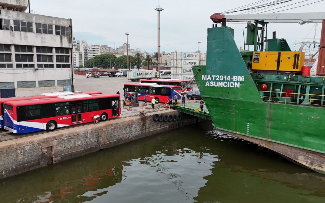 Nuevos buses eléctricos llegarán al país en marzo