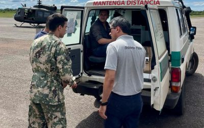 Durante un allanamiento, comitiva fiscal fue atacada por enjambre de abejas