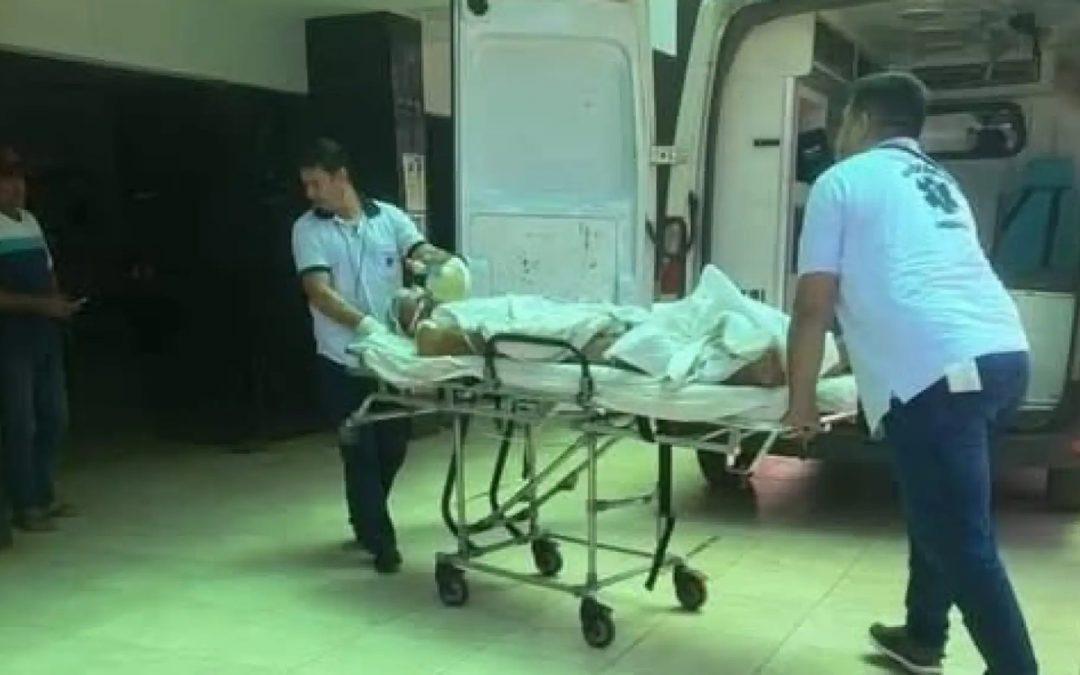 Mordedura mortal: murió el delincuente que fue atacado por una víbora