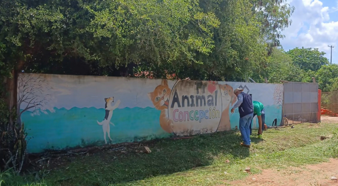 Ladrón mata a golpes a un perro tras intentar robar en un refugio de animales 