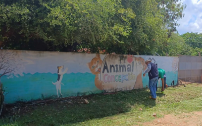 Ladrón mata a golpes a un perro tras intentar robar en un refugio de animales 