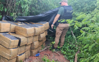 Incautan casi dos toneladas de marihuana dentro de un depósito narco