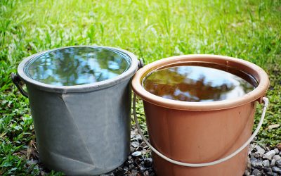 Alto Paraguay: bebé de un año falleció tras caer en un balde con agua