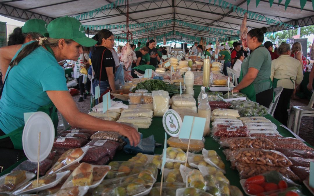 Productores agropecuarios generaron más de G. 1.100 millones en tradicionales ferias