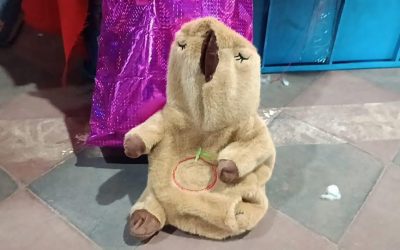 Incautan cocaína, éxtasis y LSD dentro de un peluche de capibara