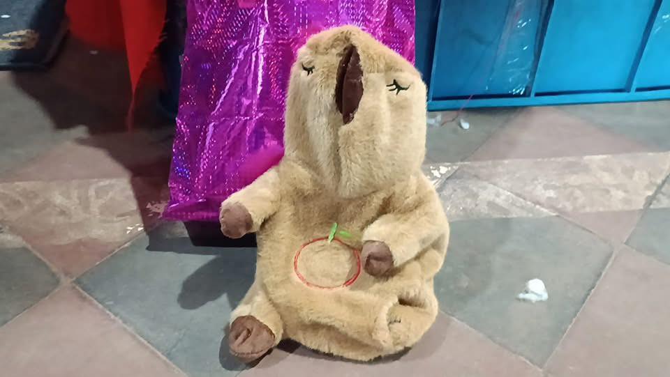 Incautan cocaína, éxtasis y LSD dentro de un peluche de capibara