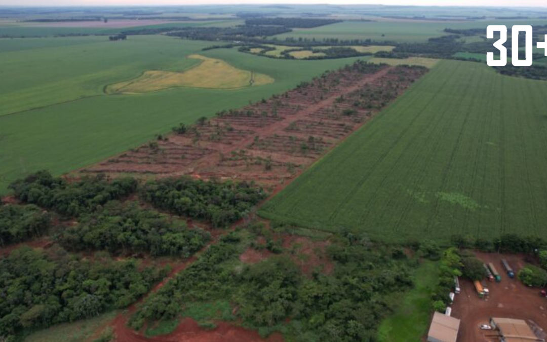 Alerta ambiental en Canindeyú: MADES anuncia sumario a responsable