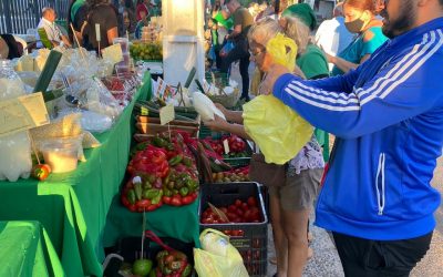 ¡Invitan a tradicional Feria de Agricultura este miércoles en canal Trece!