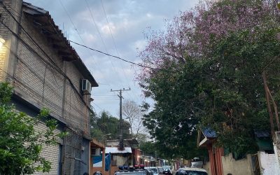 Un herido y cinco detenidos tras nueva balacera en la Chacarita