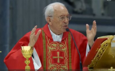 Cardenal pidió que sea elegido “el papa de la comunión y la unidad”
