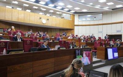 Rechazan el proyecto de ley que criminaliza el criadazgo