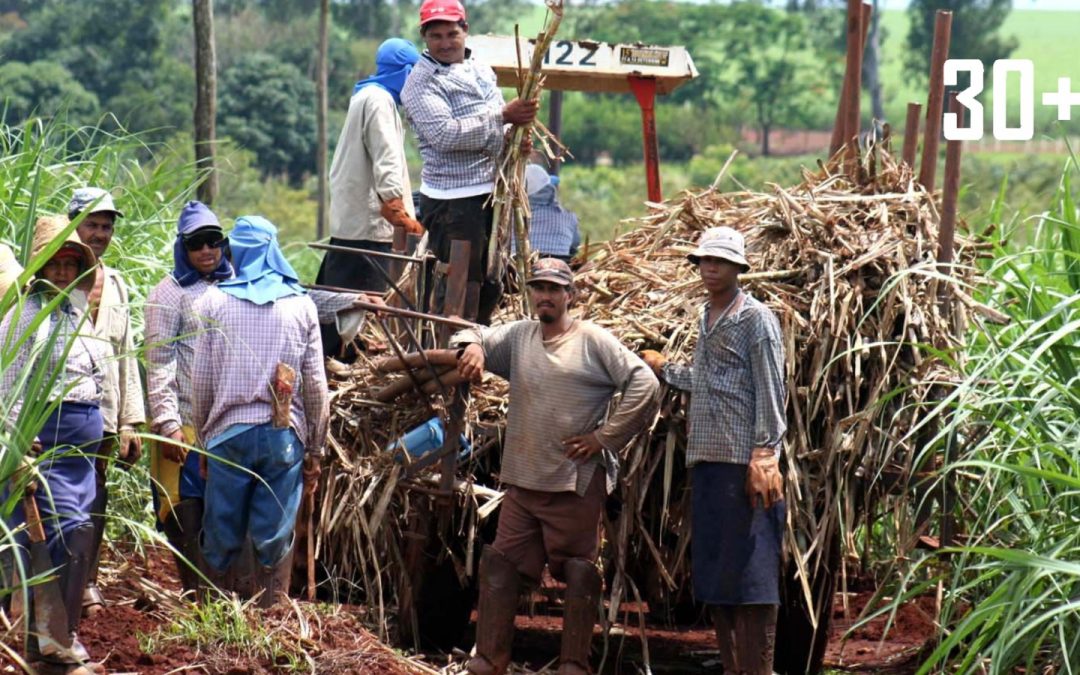 Cañicultores exigen finalización de las obras del nuevo tren de molienda