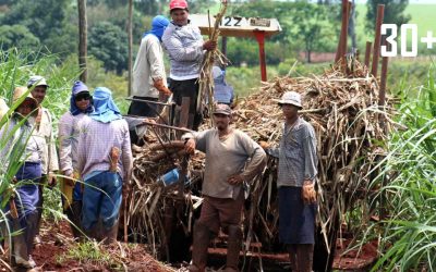 Cañicultores exigen finalización de las obras del nuevo tren de molienda