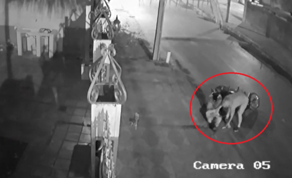 Mujer fue víctima de violento asalto en Luque: recibió tres puñaladas