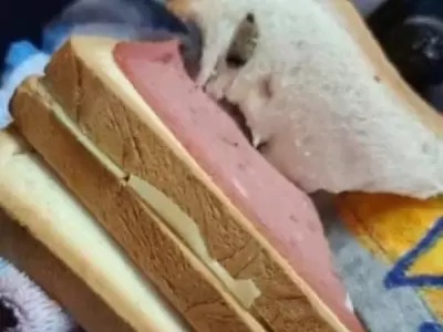 Docentes hallaron marihuana en el sándwich de una niña