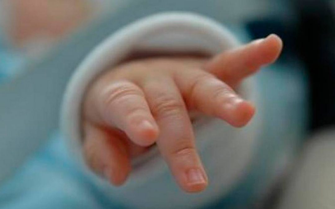 Piden ayuda para beba abandonada en un pastizal