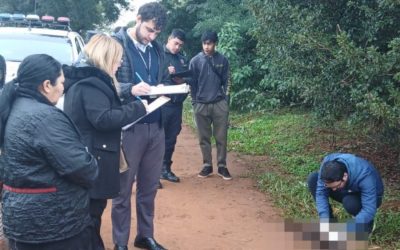 Encarnación: imputan a hombre que mató a un perro porque “se comía sus pollitos”