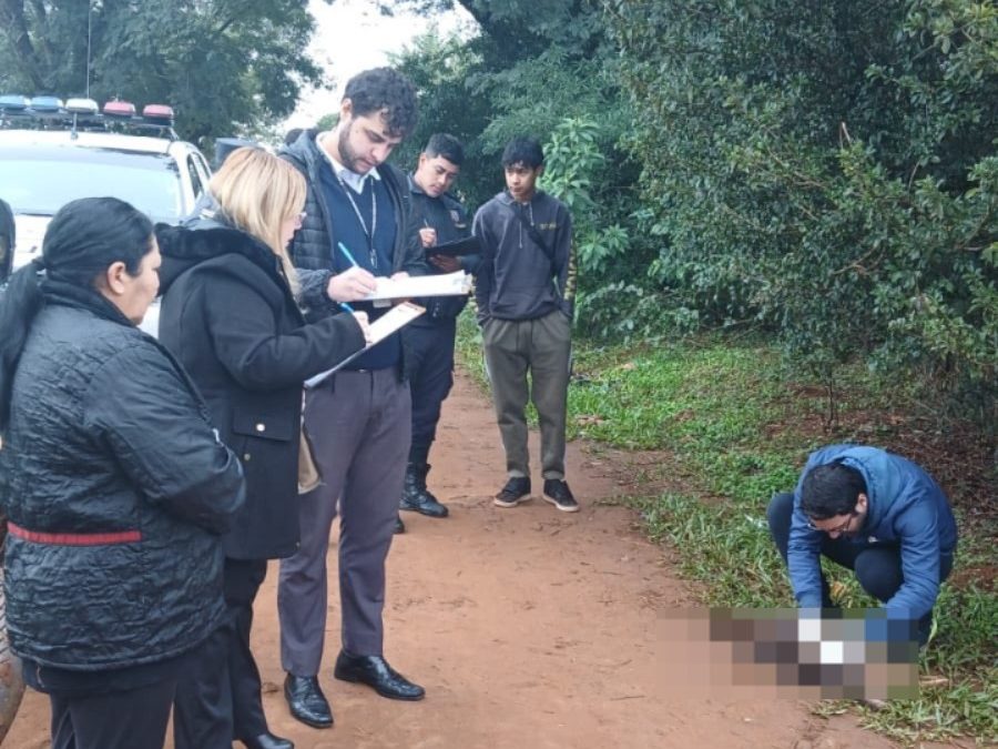 Encarnación: imputan a hombre que mató a un perro porque “se comía sus pollitos”