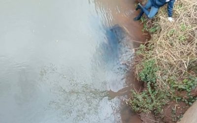 San Pedro del Paraná: encuentran dos cuerpos ejecutados