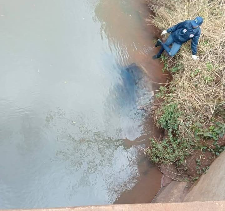 San Pedro del Paraná: encuentran dos cuerpos ejecutados