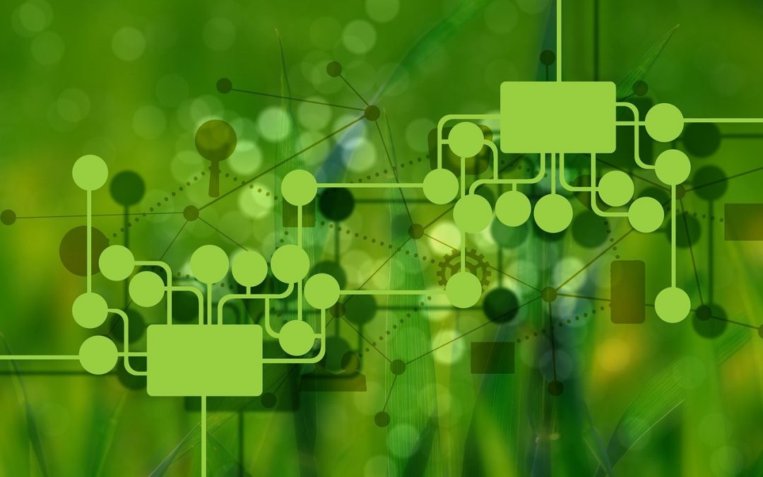 ¿Cómo contribuyen las plataformas de casinos digitales con el medio ambiente?