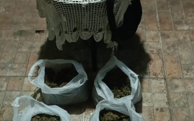 Varios detenidos durante allanamientos simultáneos en el Bañado Sur