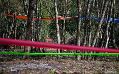 WRC Paraguay: no permitirán ingreso de equipos de sonido y drones