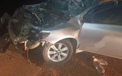 Mujer falleció atropellada al intentar cruzar la ruta con su vaca