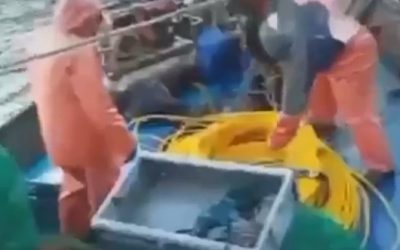 Paraguayos se encuentran desaparecidos tras hundirse su embarcación en Chile