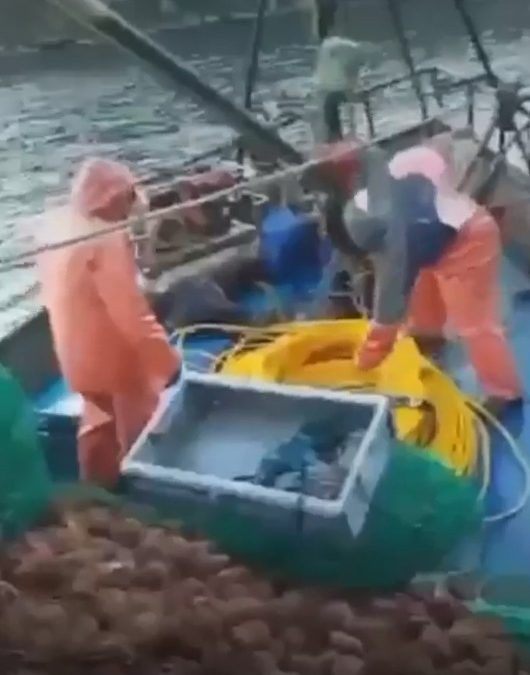 Paraguayos se encuentran desaparecidos tras hundirse su embarcación en Chile