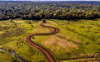 Rally del Paraguay: ¡Estos son los tramos y horarios de largada!
