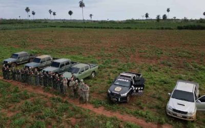 Senad sacó de circulación más de 30 toneladas de marihuana