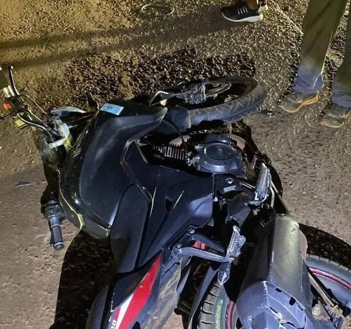 Chocó a un perro, cayó al asfalto y fue arrollado por una camioneta