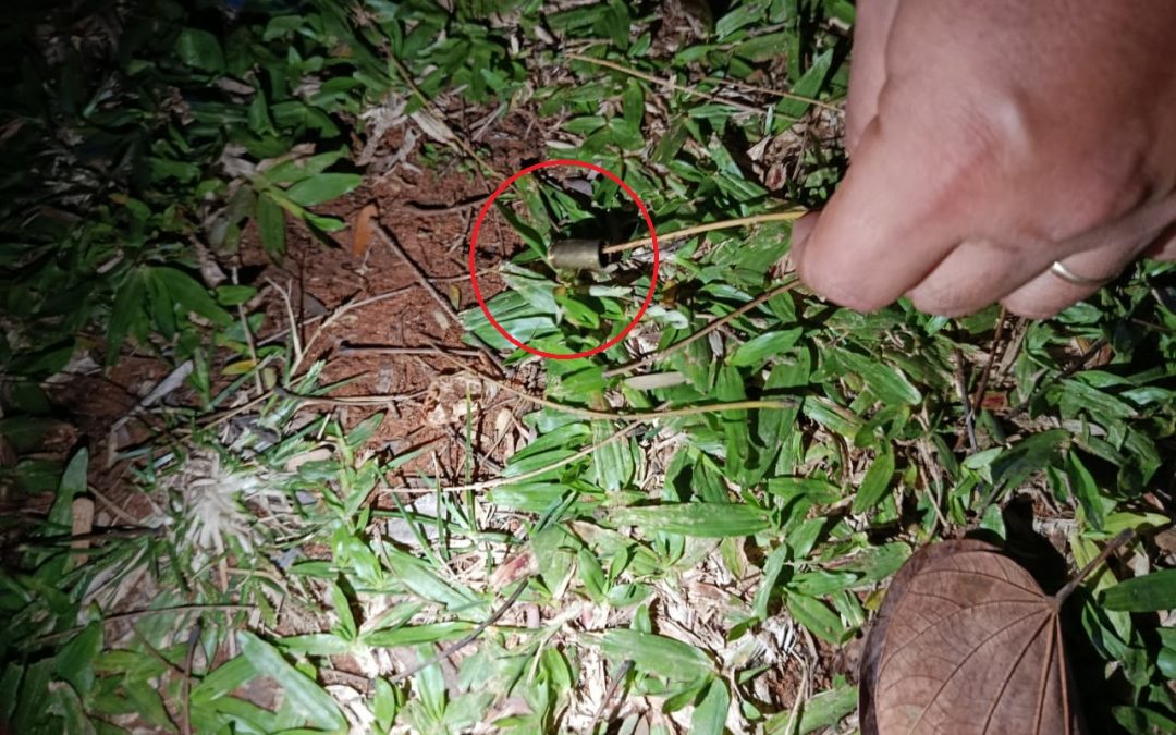 Villa Elisa: balean vivienda de familia que denunció polución sonora