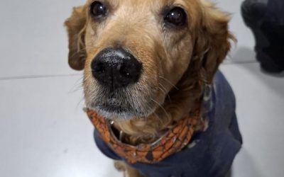 El guardián del Cuerpo de Bomberos Voluntarios de Asunción nos necesita