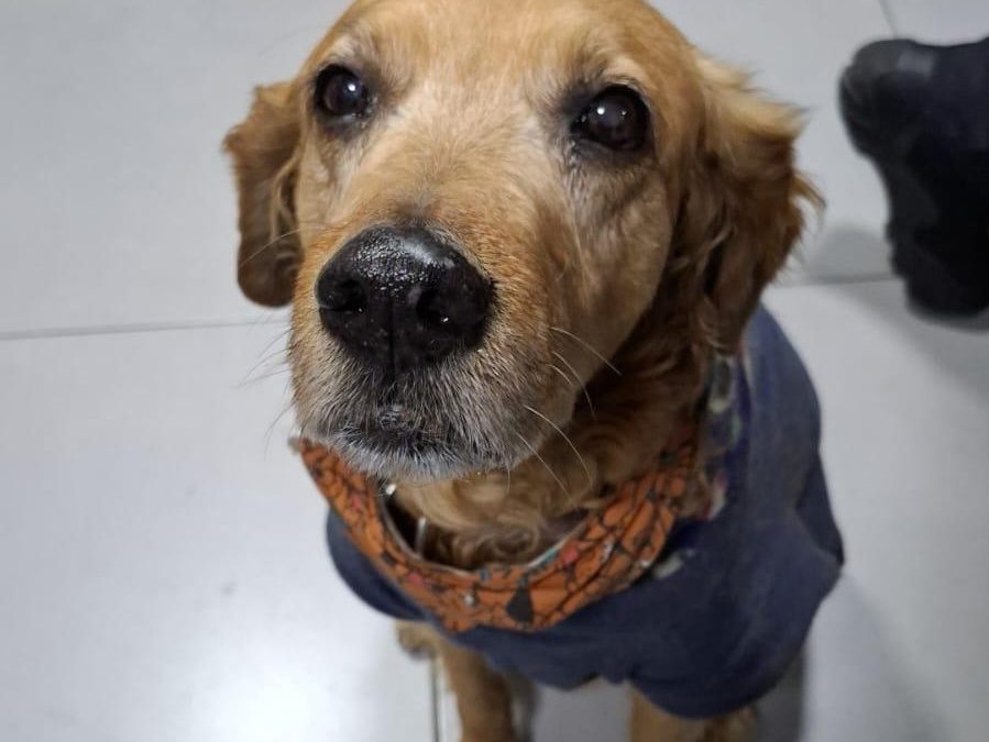 El guardián del Cuerpo de Bomberos Voluntarios de Asunción nos necesita
