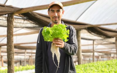 Lanzan programa Jepytaso para fortalecer el desarrollo del campo y beneficiar a los  agricultores 