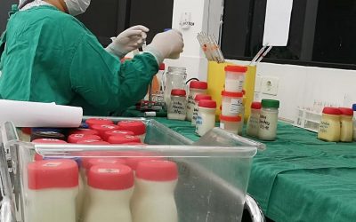 Diputados aprobaron proyecto de ley que crea una red de bancos de leche humana