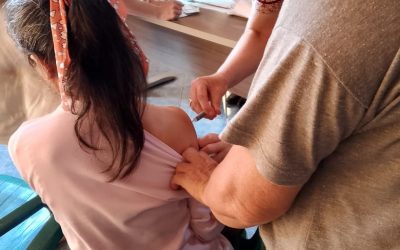 Campaña de vacunación contra el dengue: priorizarán a niños de 6 a 8 años