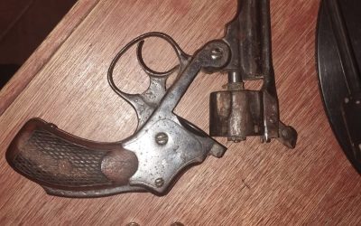 Presunto chespi resultó herido tras ingresar a plantación de pasto en Areguá