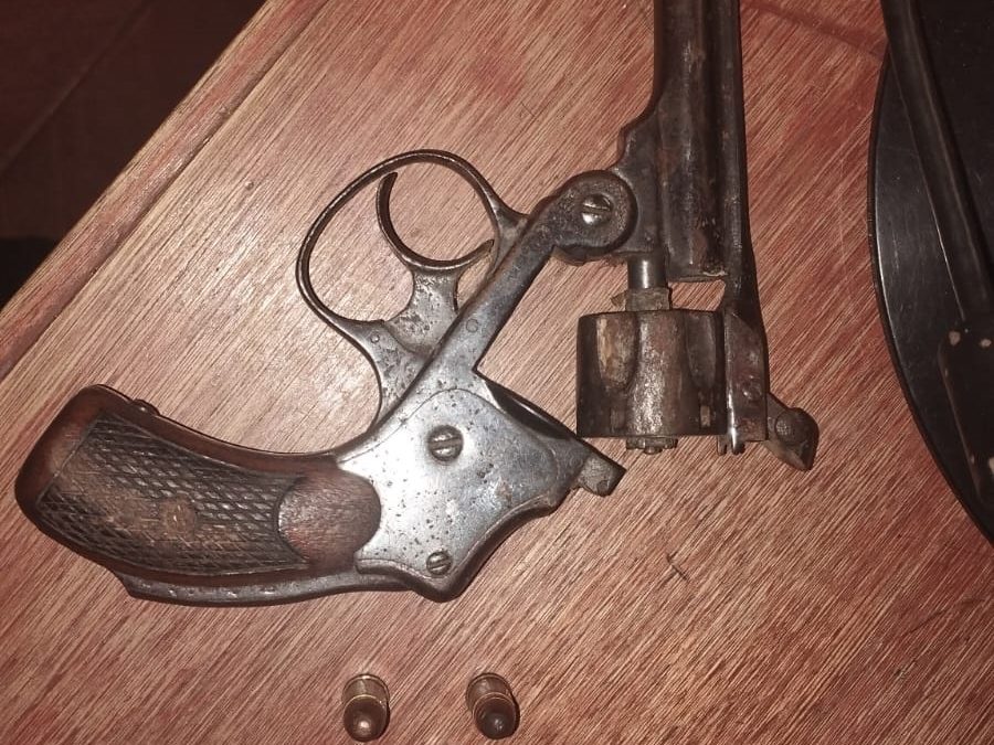 Presunto chespi resultó herido tras ingresar a plantación de pasto en Areguá