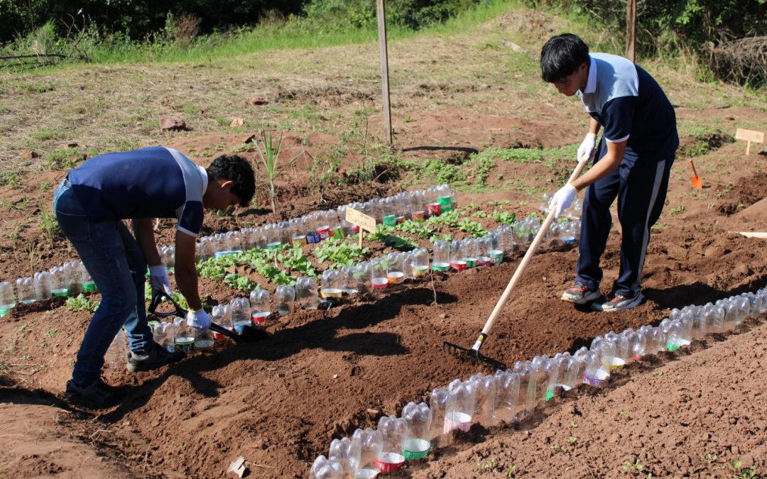 Impulsan transformación ambiental a través de prácticas en instituciones educativas