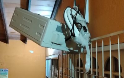 Detenido por intentar robar un compresor del Juzgado de Villa Elisa